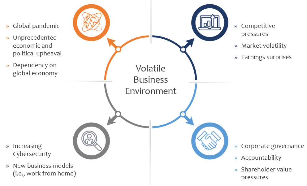 ERM Volatile Business Environment Diagram 