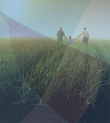 Two Men and Child Playing in Grass Field   